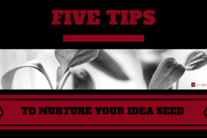 Five Tips to Nurture Your Idea Seed
