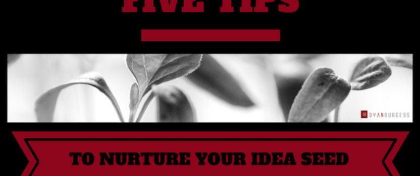 Five Tips to Nurture Your Idea Seed