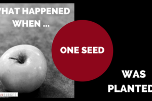 What Happened When One Seed Was Planted?