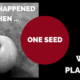 What Happened When One Seed Was Planted?
