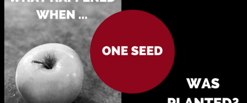 What Happened When One Seed Was Planted?