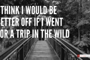 I think I would be better off if I went for a trip in the wild