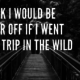 I think I would be better off if I went for a trip in the wild