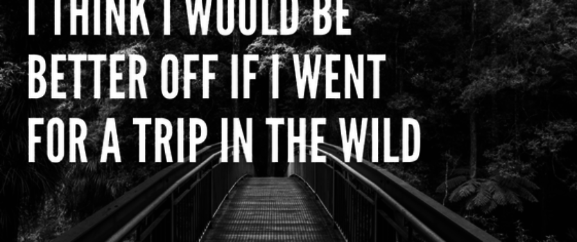 I think I would be better off if I went for a trip in the wild