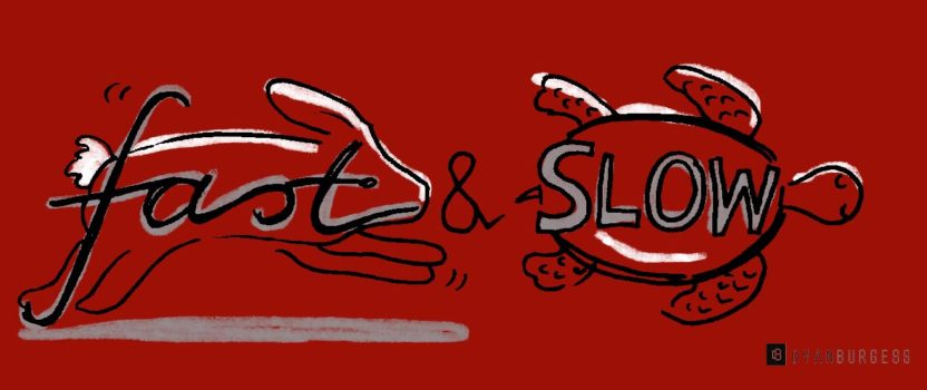 Fast vs slow – what pace should I set to write my book?